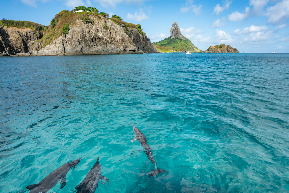 Beautiful view of Dolphins swimming with Morro do Pico, an amazing background at Fernando de Noronha sea, a Unesco World Heritage site, Pernambuco, Brazil, July 2019